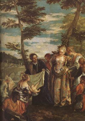 Paolo  Veronese The Finding of Moses (mk08) China oil painting art